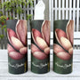 Tissue Cylinder 3 Pack - Magnolia Mist