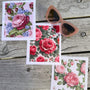 Floral Lens Cloths 3 Pack - Petal Storm Society