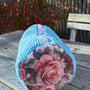 AS Shoe Wash Bag - Heart Rose Blue