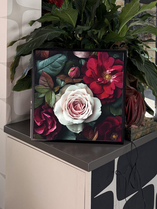 Winter Rose - Lightbox