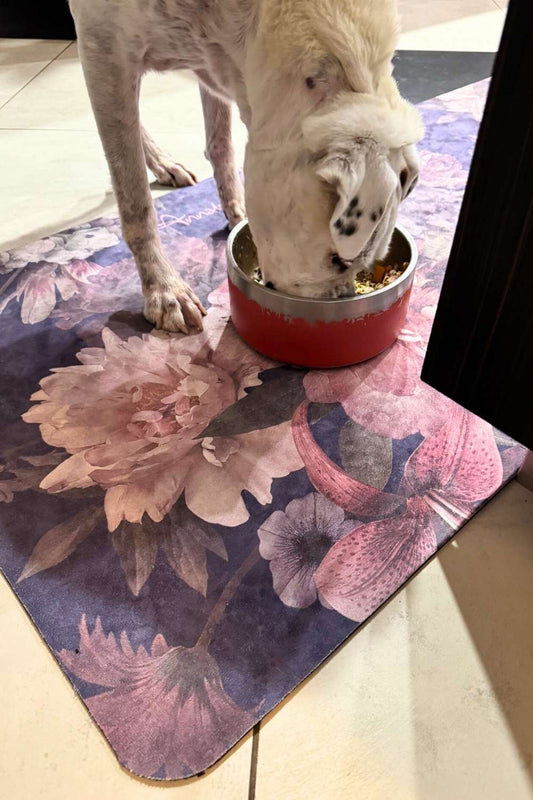 Dog eating from a red bowl on a floral mat