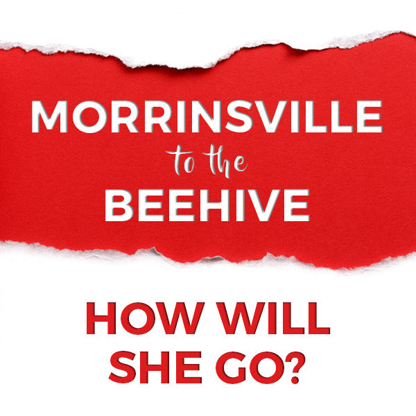 Morrinsville To The Beehive… How Will She Go