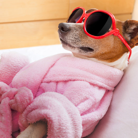 Five Top Tips For Maintaining A Balanced Life