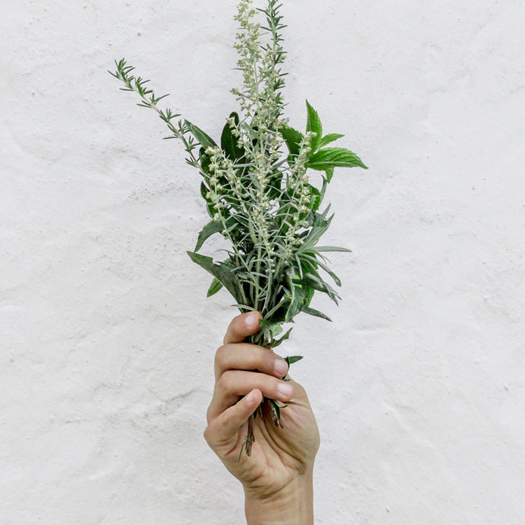 Growing your own food - is like printing your own money