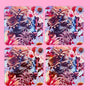 AS Square Coaster - Set of 4 - Kitten Love