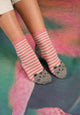 Cat Grip Socks - Multi Pack Of 3