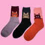 Cosy Blend Kitten Socks - Includes Wool - Multi Pack Of 3
