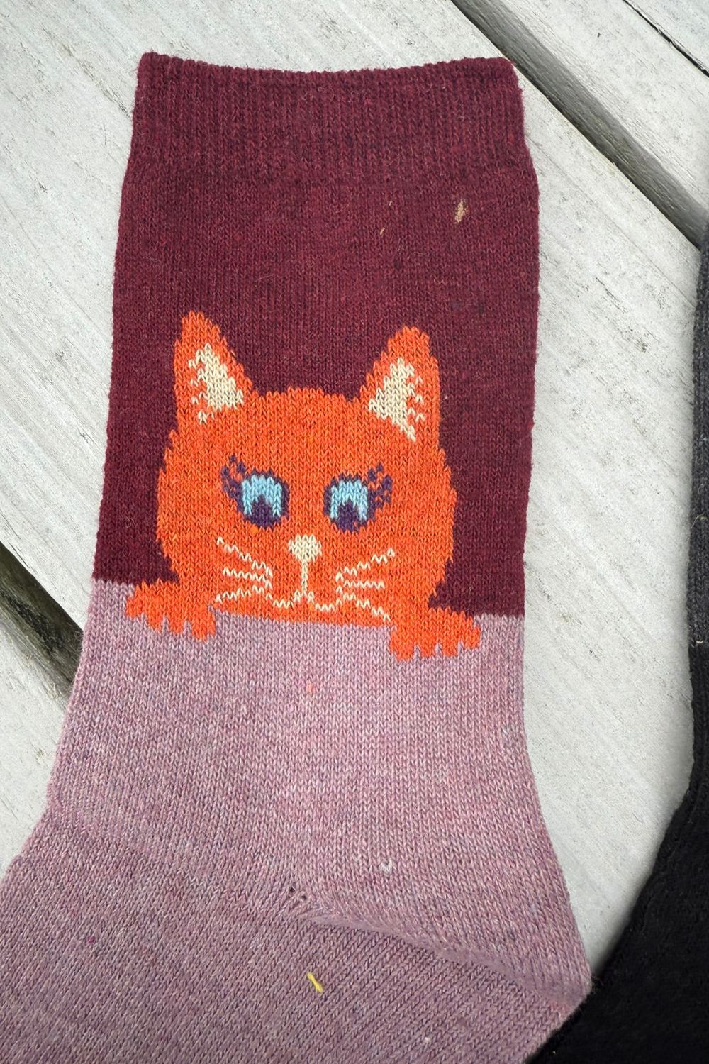 Warm women’s kitten socks with wool blend – multipack