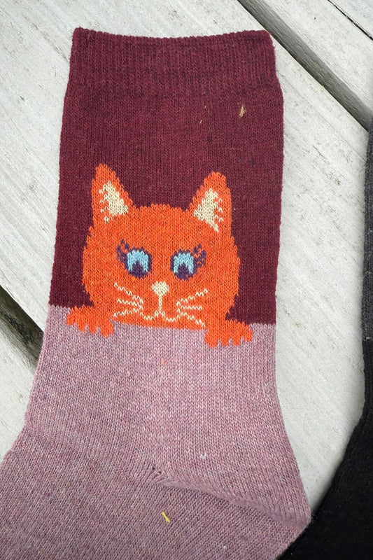 Warm women’s kitten socks with wool blend – multipack