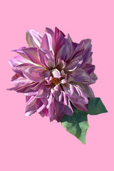 Dahlia Flower Hair Clip by Annah Stretton
