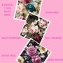 Swedish Dish Cloths - Vine Party Stripes | PRE ORDER LATE NOV
