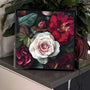 Winter Rose - Lightbox
