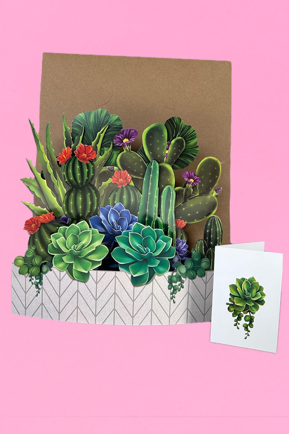 The Annah Stretton Pop Up card in the succulent design