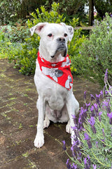 Dog wearing christmas banadana in red angel  print