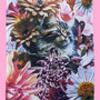 AS Tea Towel - Kitty Kitten Love - PRE ORDER - MID MARCH