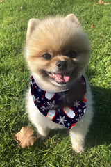 Christmas Dog Bandana - Mad Santa