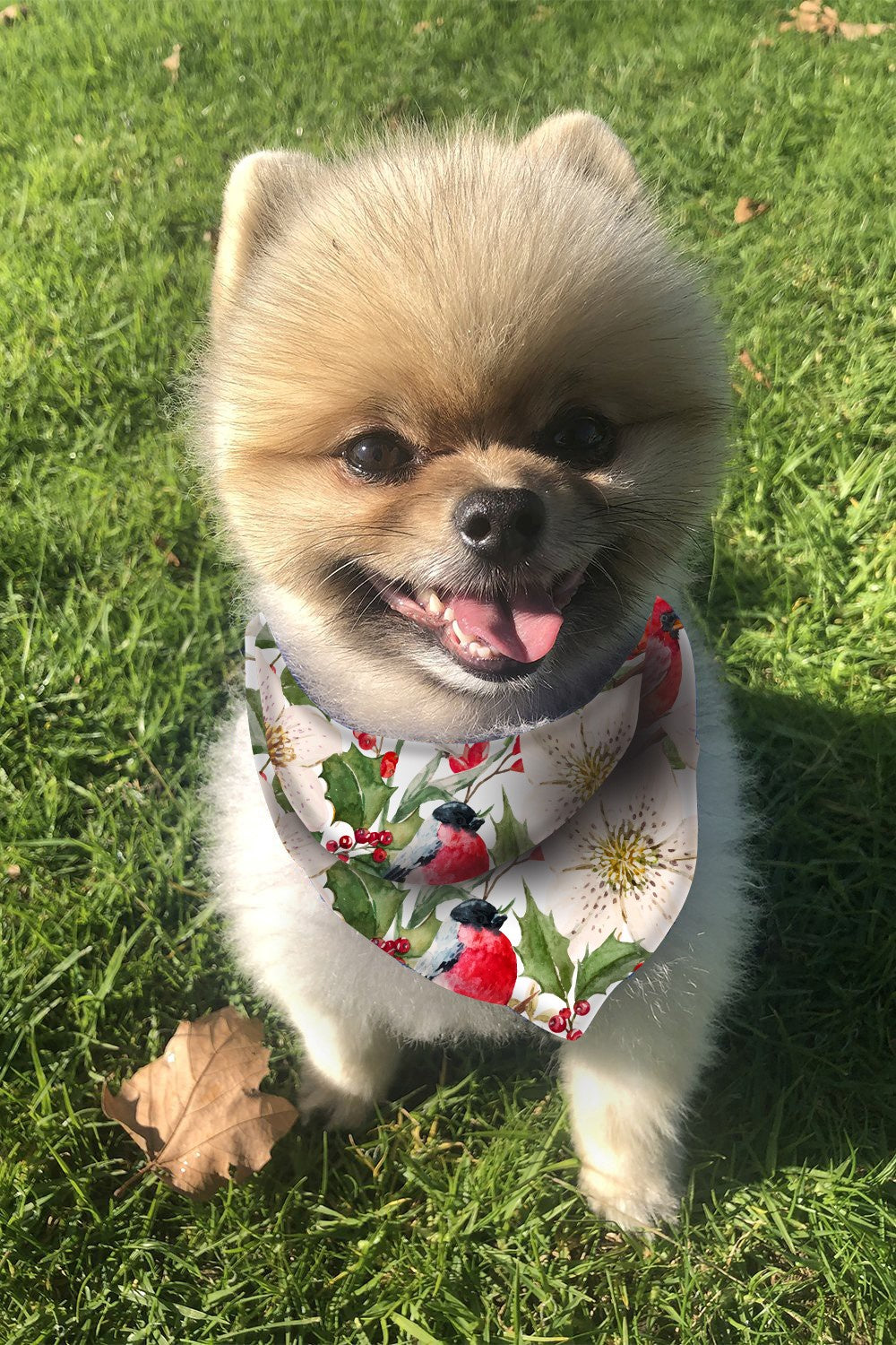 olives kitchen dog bandana in white christmas