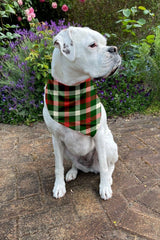 Christmas Dog Bandana - Green Tartan