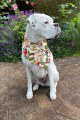 olives kitchen dog bandana in white christmas