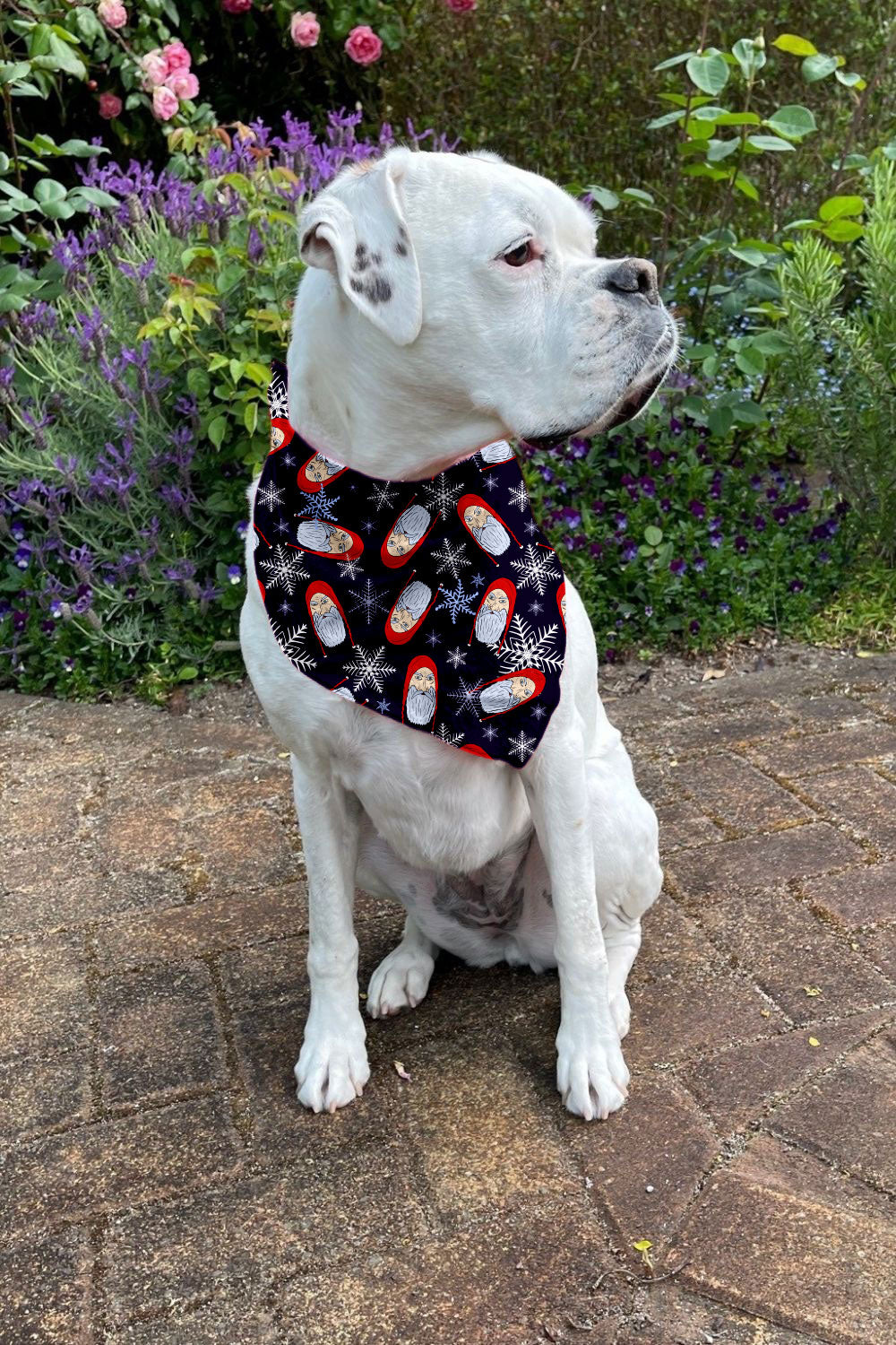 Christmas Dog Bandana - Mad Santa