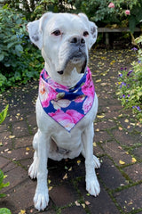 Peony Dog Bandana