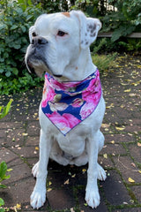 Peony Dog Bandana